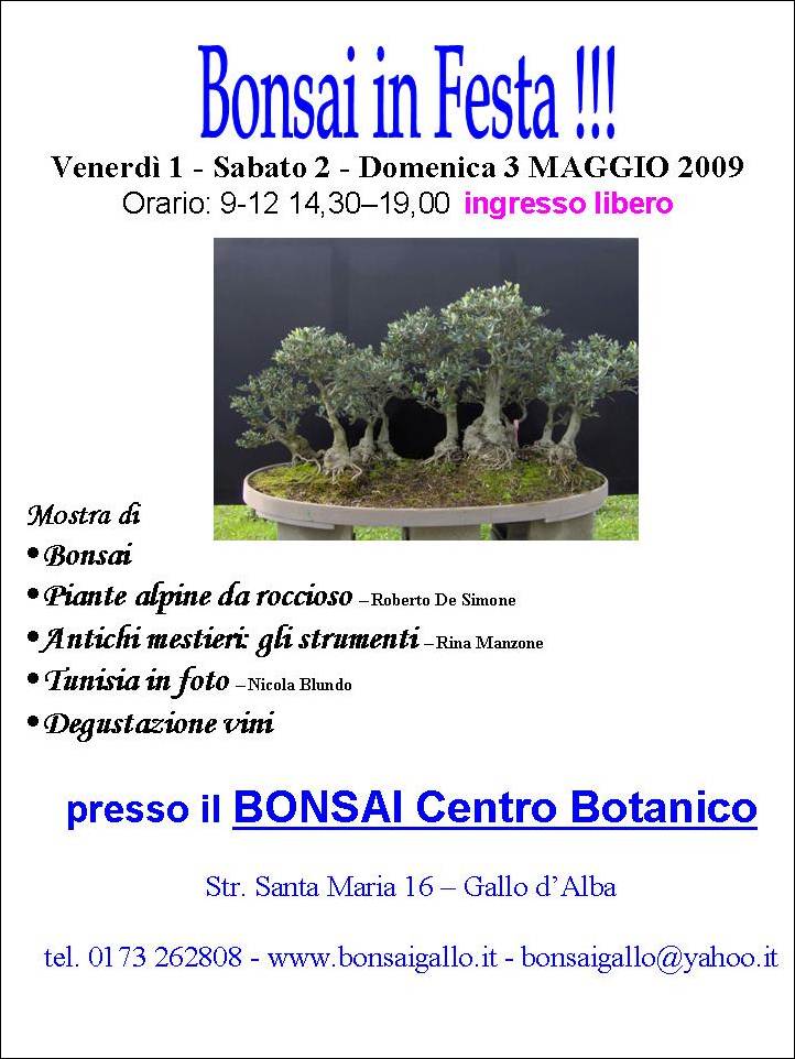 Descrizione: Descrizione: Descrizione: Bonsai in festa 2009